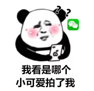 熊猫头微信拍一拍表情包-我看是哪个小可爱拍了我