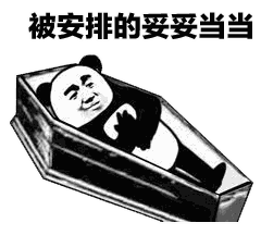 熊猫头棺材最全系列表情包图片-被安排的妥妥当当