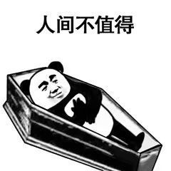熊猫头棺材最全系列表情包图片-人间不值得