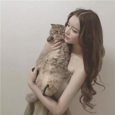 美女抱猫唯美带着气质的头像图片